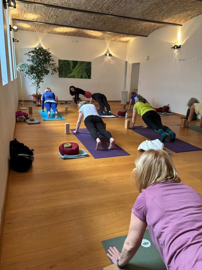 Yoga 60+